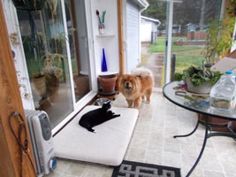 Oh, wait a minute...Didn't that L.L. Bean box on the porch say 'doggie bed?'