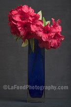 Red Rhodies Blue Vase