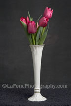 Red Tulips In Lenox